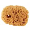 Best Pirce ❤️ Purdy Symphony 4 In. Yellow Sea Natural Sea Sponge 🥰